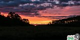 2018 Bulow Woods Ultra Marathon